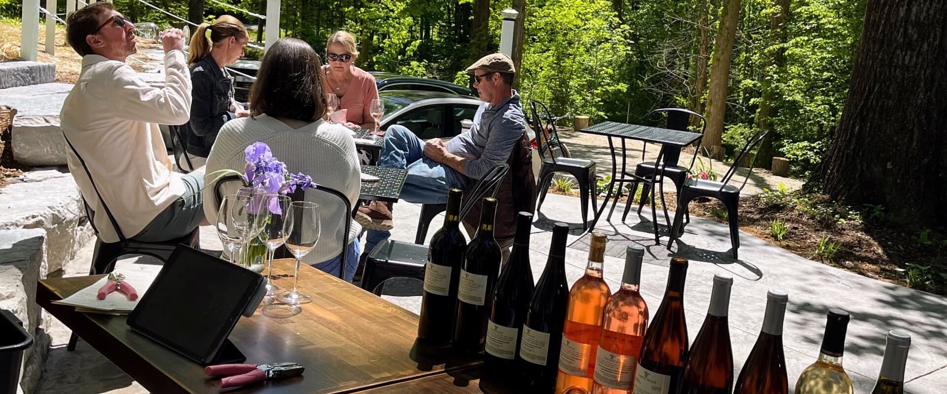 A group of people enjoys wine and conversation outdoors, surrounded by greenery.