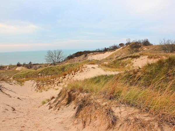 A sandy dune landscape with sparse grass and a view of the lake in the background.
