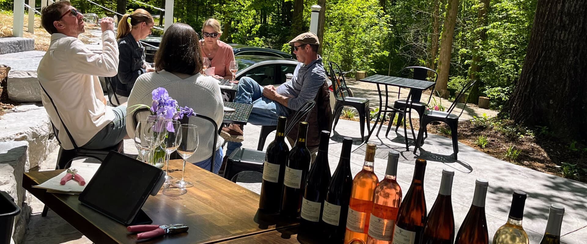 A group of people enjoys wine and conversation outdoors, with a table displaying several bottles of wine in the foreground.