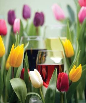 A vibrant arrangement of colorful tulips surrounding glasses filled with different beverages.