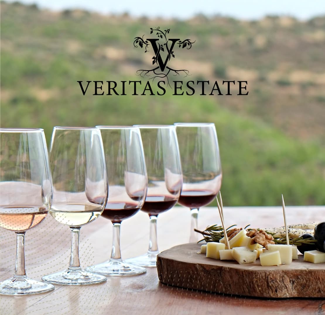 A row of wine glasses alongside a cheese platter with greenery in the background.