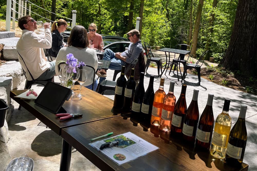 A group of people enjoys wine tasting outdoors, with several bottles of wine displayed on a table in the foreground.