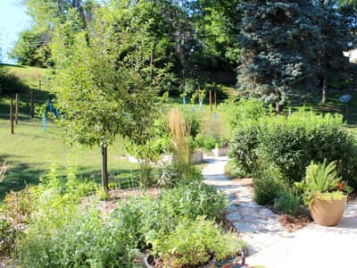 A vibrant garden with a stone pathway, surrounded by lush greenery and trees
