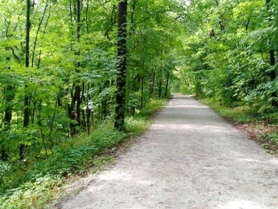 Michigan bike trail through woods